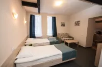 Tkachi Hotel Hotels in Borovichi