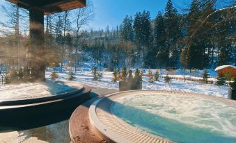 Aries Hotel & Spa Wisła