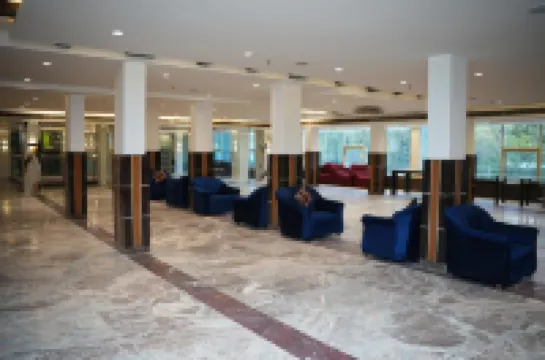 エアポート ホテル パーク ブルー By RMR Hotels