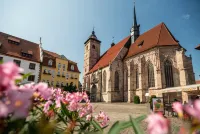 Waldhotel Ehrental - 3-Star