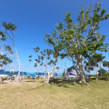 Bluepango Guest House