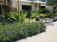 Lcp 3  Romamtic Honeymoom Wifi TV Box Midhill G/H