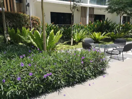 Lcp 3  Romamtic Honeymoom Wifi TV Box Midhill G/H