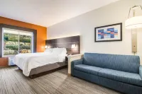 Holiday Inn Express & Suites Custer Hotels in Custer