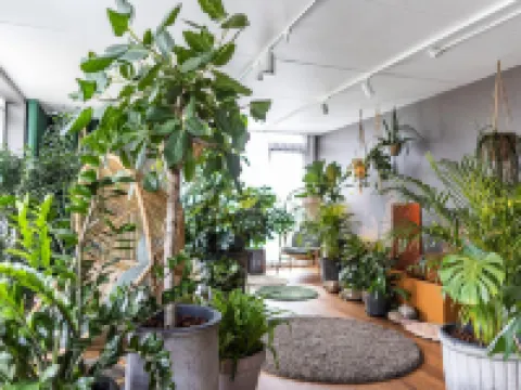 The Note ヴァイレのホテル