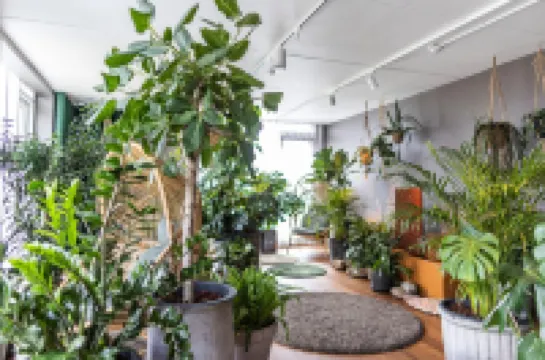 เดอะโน้ต โรงแรมใน