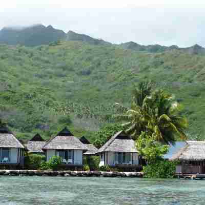 Pension Motu Iti Hotel Exterior