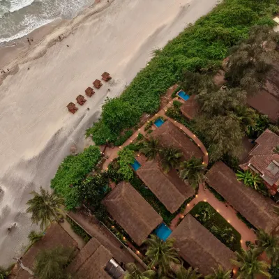 Palm Grove Beach Resort - Beach