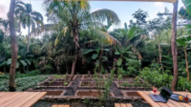 Selvista Guesthouses Hotels in 