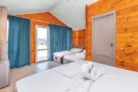 Papa-Dom Hotels in 