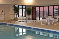 Hampton Inn & Suites Wilder - Pools