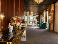 Dolce Vita Club