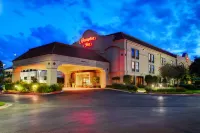 Hampton Inn San Antonio Stone Oak Hotels in San Antonio