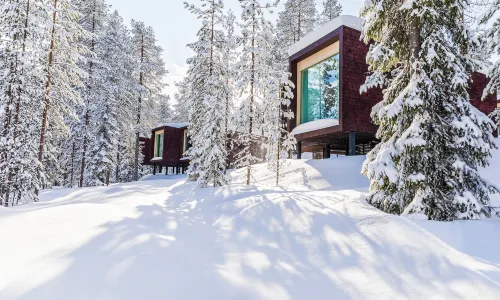 Arctic TreeHouse Hotel