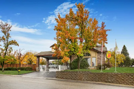 Super 8 by Wyndham Auburn