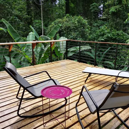 La Shamana - Ecological Concept in Jungle