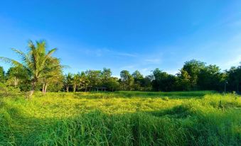 Jamsai Resort