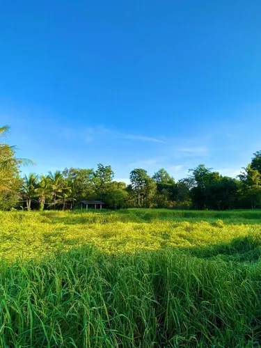 รูปภาพของแจ่มใสรีสอร์ท (Jamsai Resort)