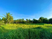 Jamsai Resort