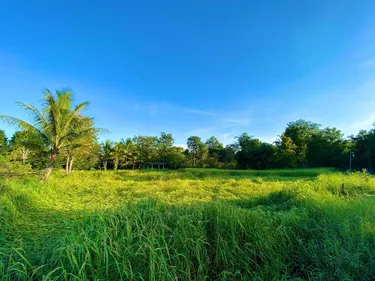 รูปภาพของแจ่มใสรีสอร์ท (Jamsai Resort)