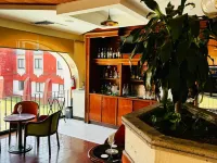 Fiesta Inn Xalapa - bar
