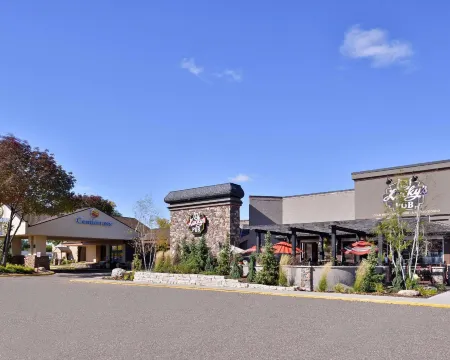 Comfort Inn Plymouth-Minneapolis Отели рядом с достопримечательностью «HomeGoods»