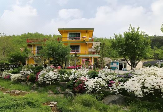 허브스토리 수영장