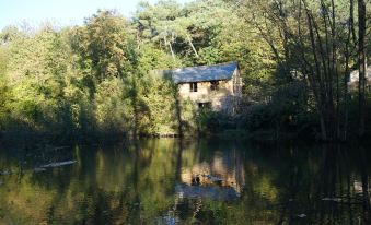 Le Triskel de Bertaud