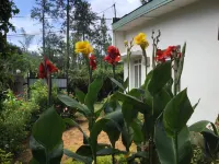 Ella Relax Inn - Apartments