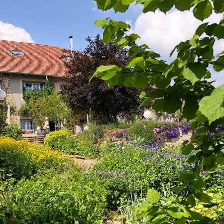 Le Clos des Pommes