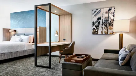 SpringHill Suites Lexington Fritz Farm Отели в г. Фейетт