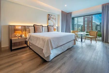 Holiday Inn 聖多明戈