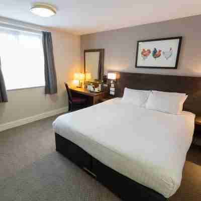 Starling Cloud Rooms