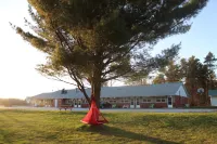 쉔스톤 모터 인