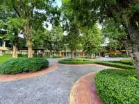 The Room at Maesai Hotels near Doi Tung
