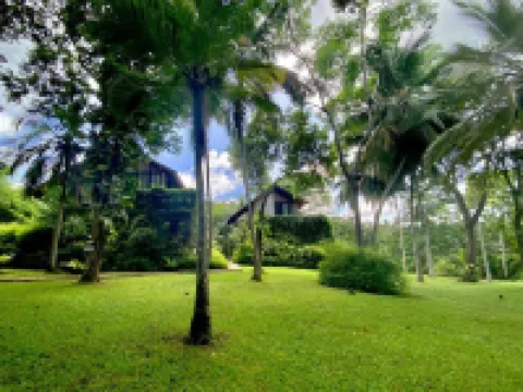 Palm Paradise Cabanas & Villas Beach Resort Hotels near Medaketiya Activity Beach