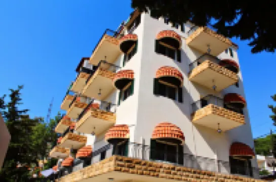 อัลไพน์ โฮเทล โรงแรมใน