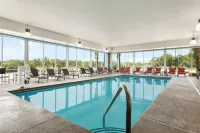 ホリデイ イン エクスプレス & スイーツ フローレンス I-95 アット ハイウェイ 327 バイ IHG - プール