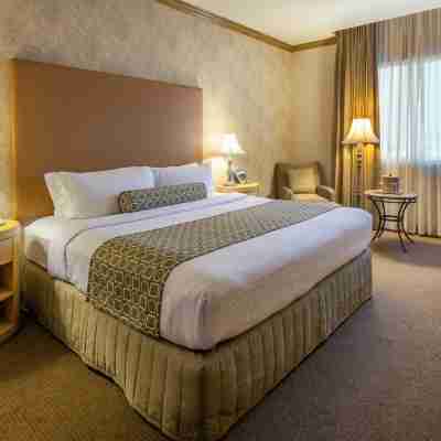 Crowne Plaza TORREON by IHG Rooms