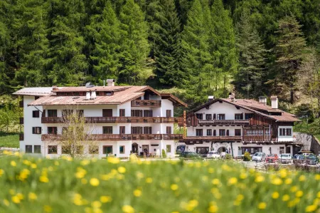 Hotel Al Larin Отели в г. Кортина д'Ампеццо'