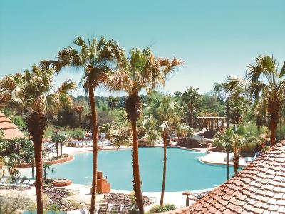 屋外プール ディズニーズ アニマル キングダム ロッジの写真