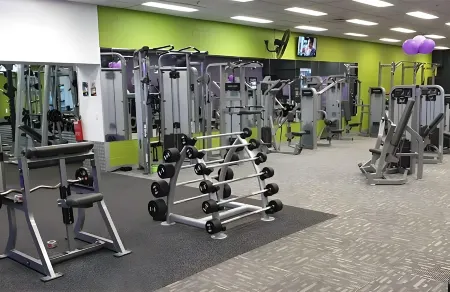 Little Drifter Surry Hills