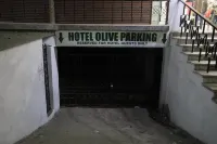 Vips Hotel Olive - Hot Tub