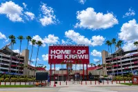 Holiday Inn Express & Suites TAMPA STADIUM - AIRPORT AREA by IHG - Aamiainen