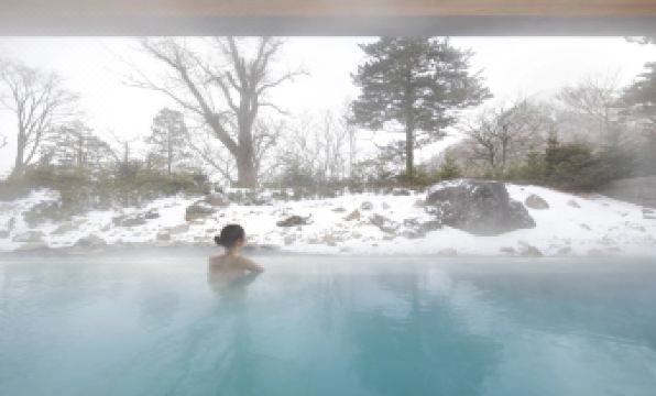 The Ritz-Carlton, Nikko