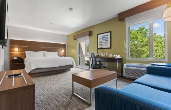 智選假日套房酒店薩里