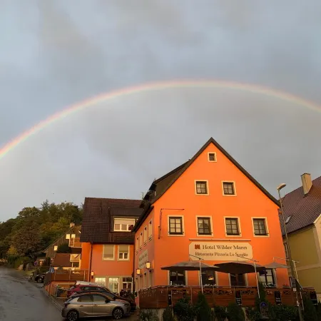 Hotel Wilder Mann