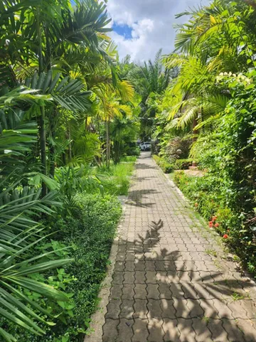 รูปภาพของโรงแรม อมรอินน์ รีสอร์ท