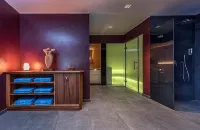 Marini's Giardino Hotel - spa