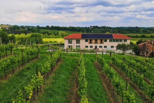Mani Sagge - Cantina Locanda Agriturismo Wine Bar Hotel a Vittorio Veneto